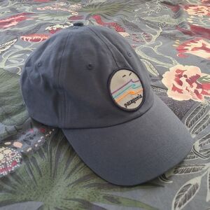 Patagonia baseball cap